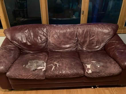Photo of free Couches (Lakeville) #3