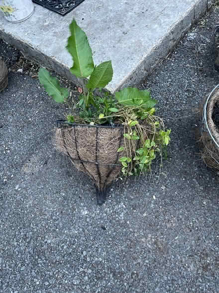 Photo of free Hanging & floor metal baskets (Amersham HP7) #4