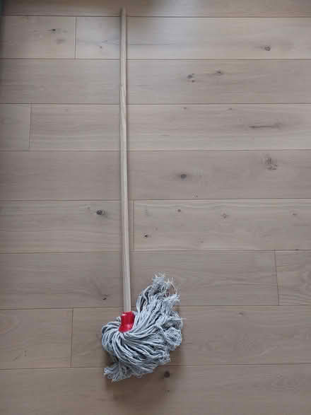 Photo of free Mop in London N4 (N4 close to Clissold Park) #1