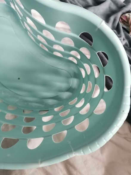 Photo of free Laundry basket (Birchwood AL10) #3