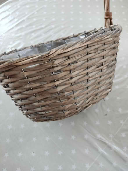 Photo of free Plant Basket (Billericay - Sunnymede CM11) #2