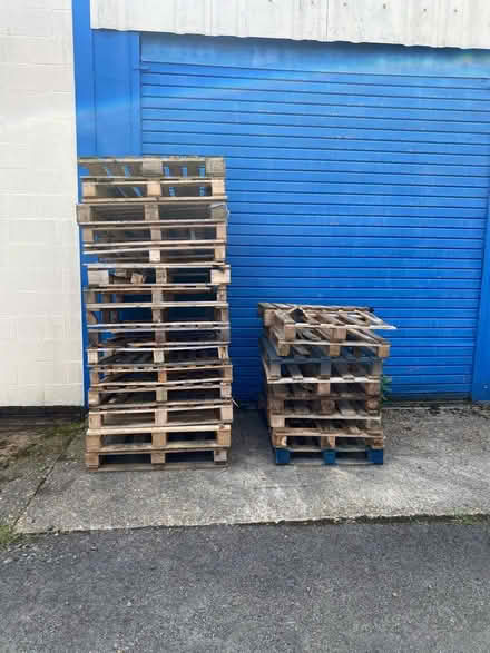 Photo of free Pallets (SG8) #1