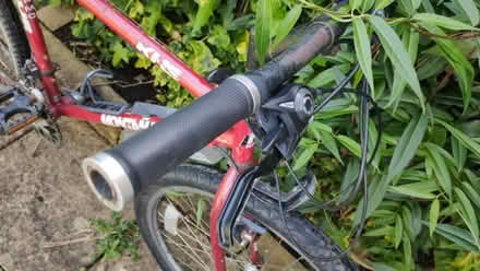 Photo of free KHS Montana Trail Bike (New Marston OX3) #3