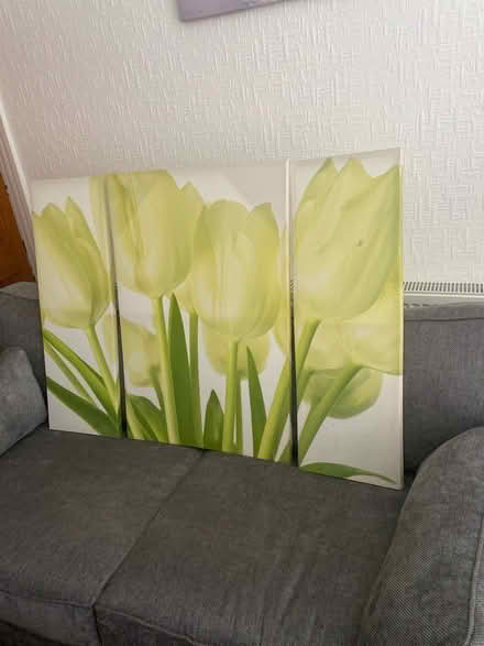 Photo of free Canvas print (L15) #3