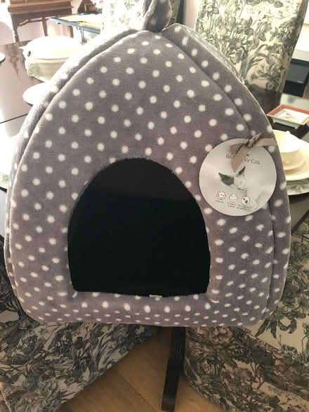 Photo of free Cat bed (Molesey KT8) #1