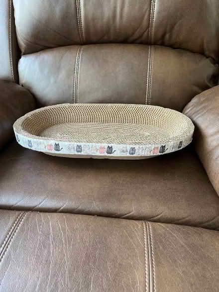 Photo of free Cat scratcher/bed (Landican CH43) #1