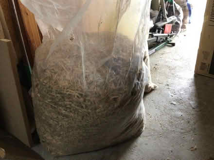 Photo of free Sawdust (Eynsford DA4) #2