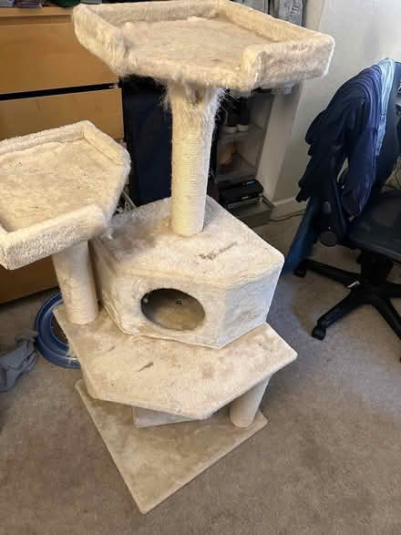 Photo of free Cat beds and tower (Cupertino) #1