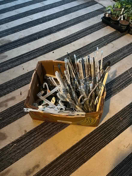 Photo of free Assorted Box of hangers (38th and Wadsworth) #1