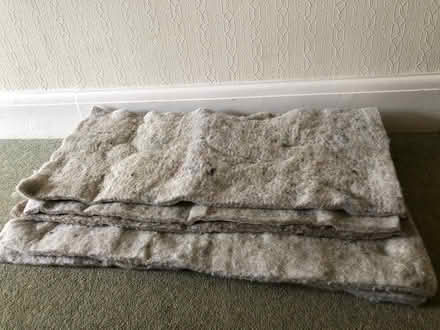 Photo of free 5 Sheets of wool insulation (Chelston,Torquay) #2