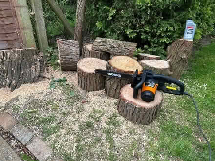 Photo of free Logs for firewood (Windlesham GU20) #1