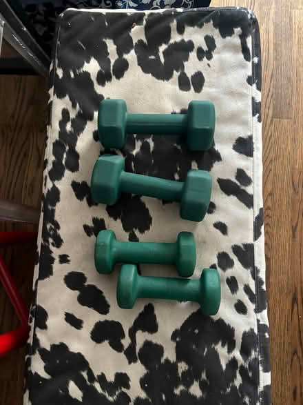 Photo of free Hand weights 4lb + 8lb sets (Kips bay) #1