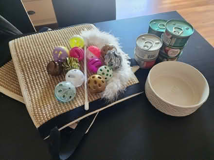 Photo of free Cat supplies (Dracut) #1