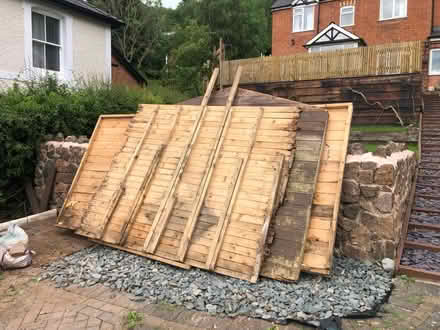 Photo of free Shed Panels (West Malvern, WR14) #2