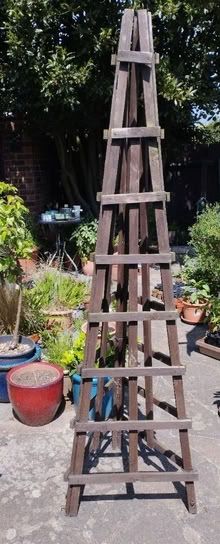 Photo of free Tripod plant obelisk (Thorpe Bay SS1) #1