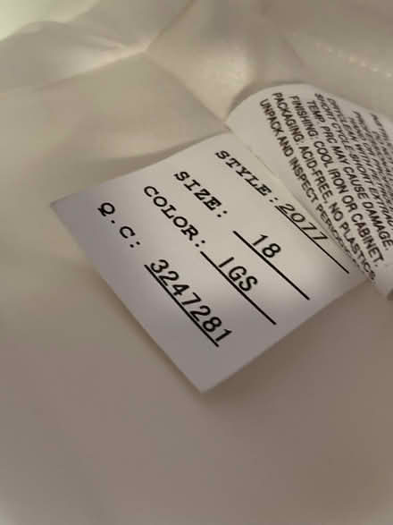 Photo of free Plus Size Wedding Dress (Arden Fair) #4
