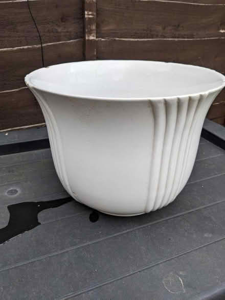 Photo of free Plant pot (Lower Sydenham) #1