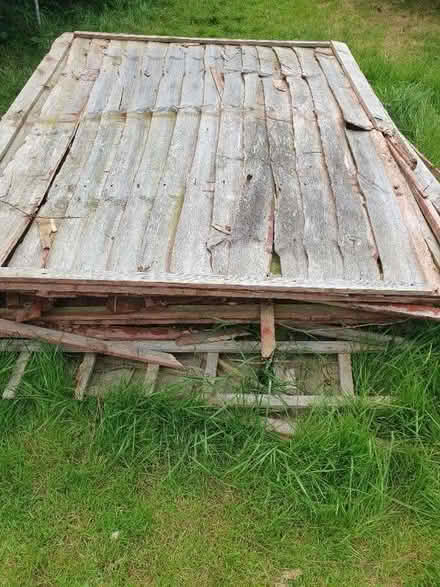 Photo of free Wood - old fence panels (Writtle CM1) #2