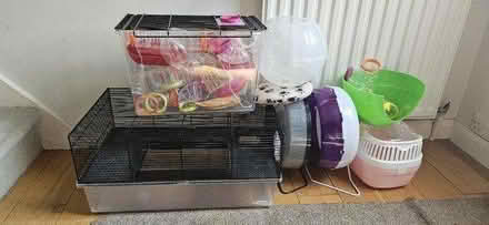 Photo of free Ferplast Hamster care items (Reading RG1) #1