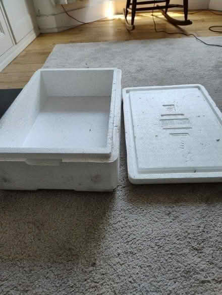 Photo of free Polystyrene box with lid (E17 Walthamstow) #1