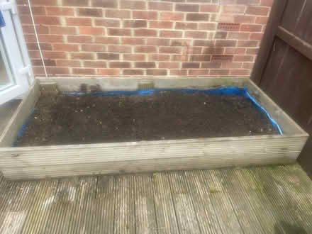 Photo of free Grow your own (Fulwell)