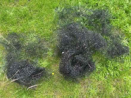Photo of free Garden netting (Headington OX3) #2
