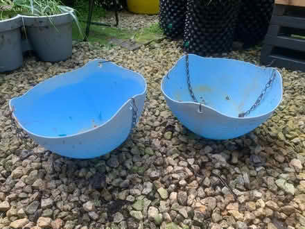 Photo of free Two blue hanging baskets (Edinburgh, Broughton, EH3) #1