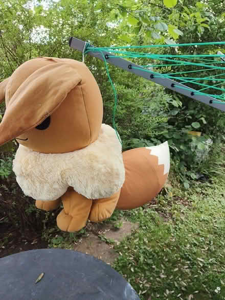 Photo of free Pokémon toy (Earlswood RH1) #2