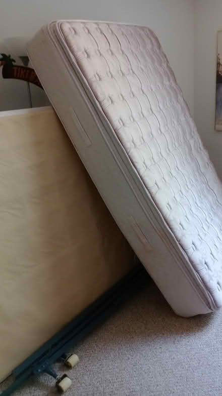 Photo of free Queen bed (Tarpon Springs) #1