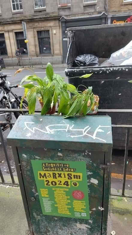 Photo of free Not mine on the street (Comely Bank EH4) #1