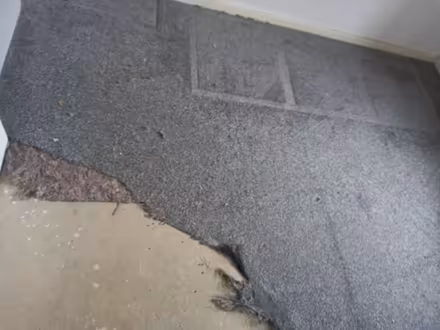 Photo of free Bedroom carpet and underlay (Staincliffe WF13) #1