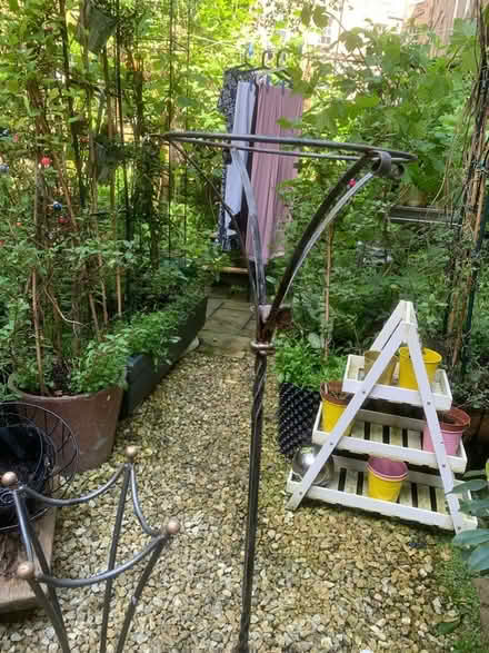 Photo of free Garden/living room plant stands (Edinburgh, Broughton, EH3) #4