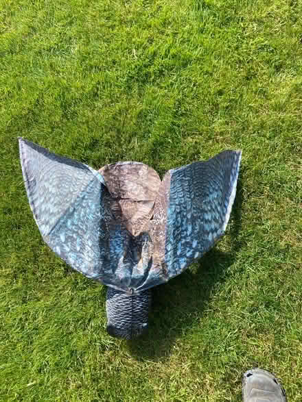 Photo of free Pigeon scarer (Billericay - Mountnessing road) #2