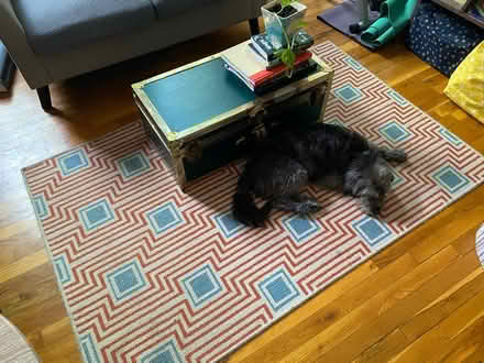 Photo of free Indoor/outdoor rug (Park Slope) #2