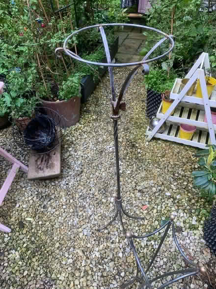 Photo of free Garden/living room plant stands (Edinburgh, Broughton, EH3) #3