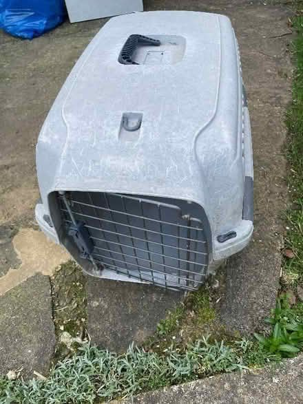 Photo of free Pet carrier (Southdown AL5) #1