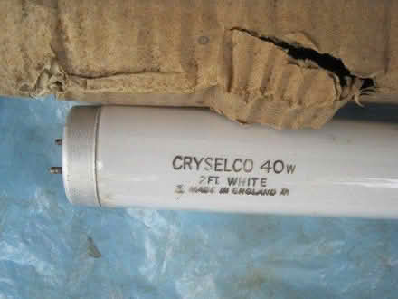 Photo of free Old 2ft fluorescent tube unused (Boreham CM3) #2