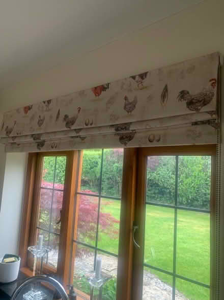 Photo of free Roman blind (RH5 Forest Green) #1