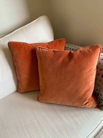 Photo of free 6 velvet cushions (Lansdown) #4