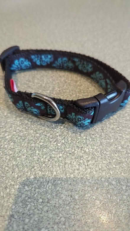 Photo of free Cat collar (James & Kent) #1