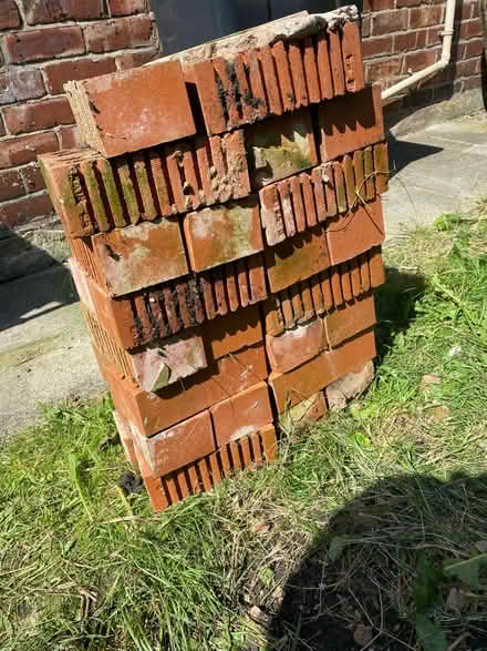 Photo of free Used bricks (Ashton OL6) #1