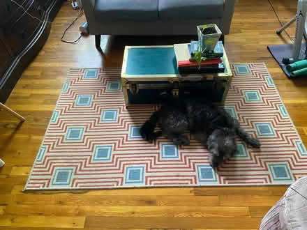 Photo of free Indoor/outdoor rug (Park Slope) #3