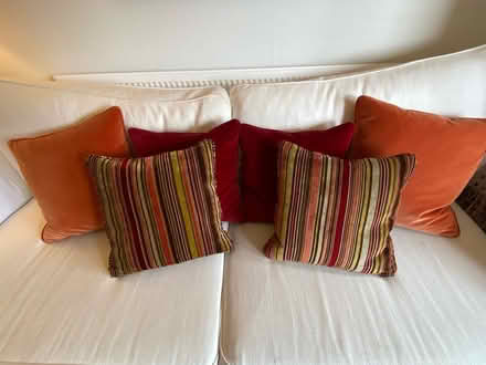 Photo of free 6 velvet cushions (Lansdown) #2