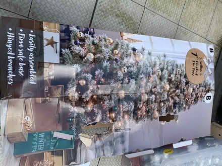 Photo of free Christmas tree and more (SG1) #4