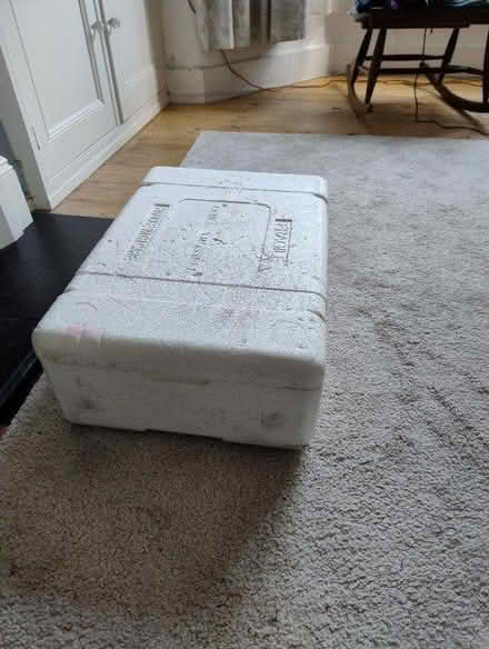 Photo of free Polystyrene box with lid (E17 Walthamstow) #2