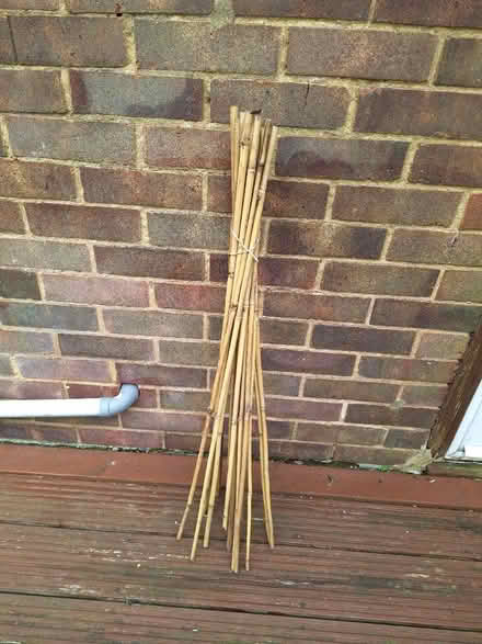 Photo of free Bamboo sticks (Borehamwood WD6) #1