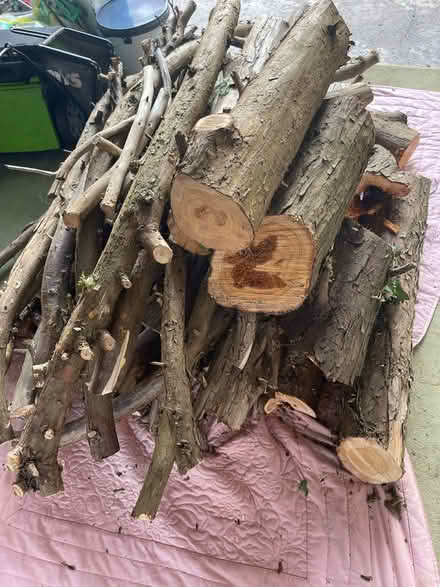 Photo of free logs (Worcester WR2) #2