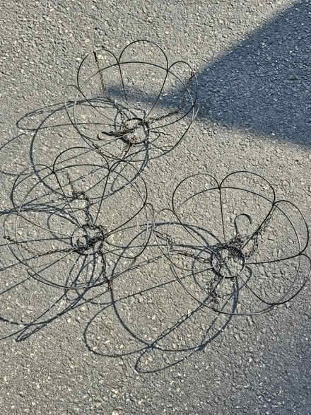 Photo of free 3 hanging baskets (Raritan Township/Ringoes) #1