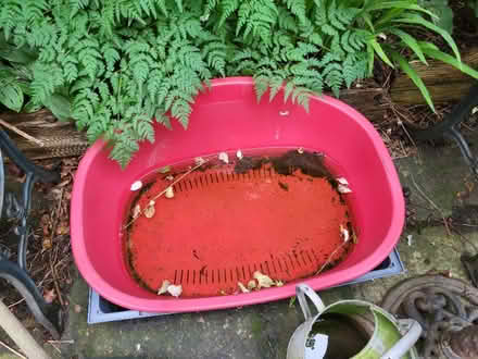 Photo of free Solid dog basket (Chapeltown LS7) #1