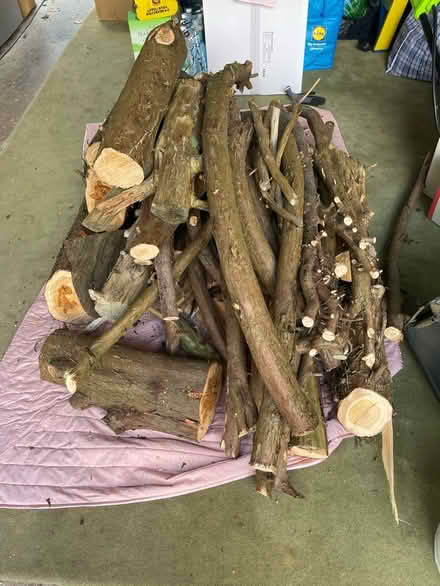 Photo of free logs (Worcester WR2) #3